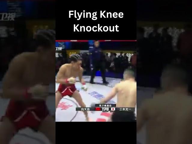 Epic Flying Knee Knockout  #mma #combat #knockoutcity