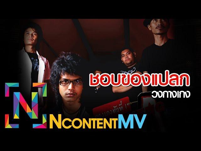 ชอบของแปลก - วงกางเกง [OFFICIAL AUDIO]