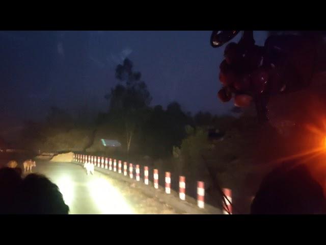 Lauchapra Sherpur tour 15/12/20 Rifat Paribhan ( Dreamland Special sitting Service) Driving by Rifat