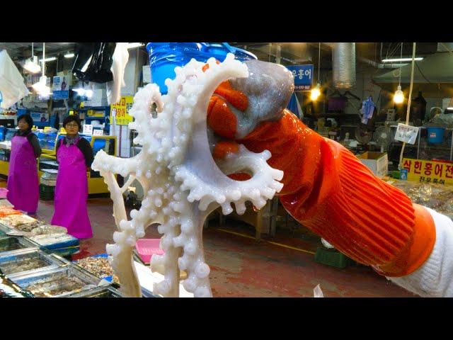 Amazing Korean fish market, Giant Octopus Sashimi, Squid Sashimi, Grilled Webfoot octopus