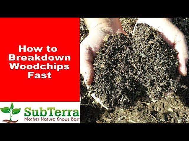 How to Get Wood Chips to Break Down FAST!