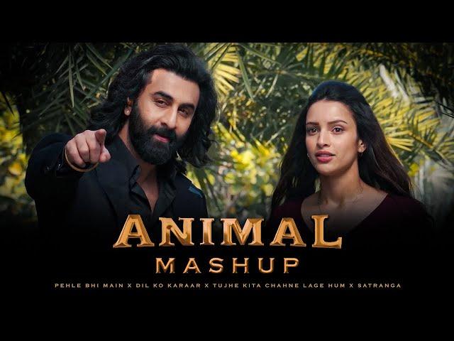 ANIMAL MASHUP : Pehle Bhi Main x Tujhe Kitna Chahne Lage (ACV Mashup)