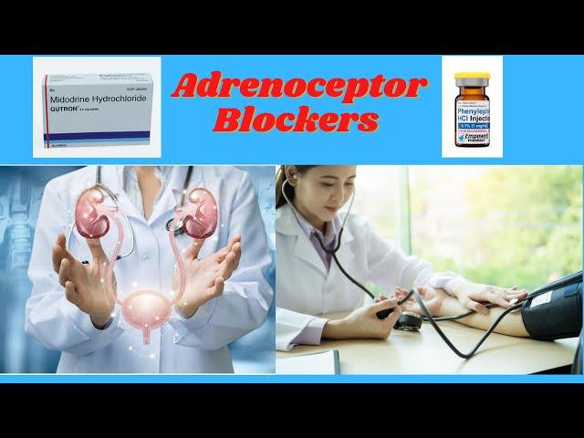 ADRENOCEPTOR BLOCKERS | part 1|