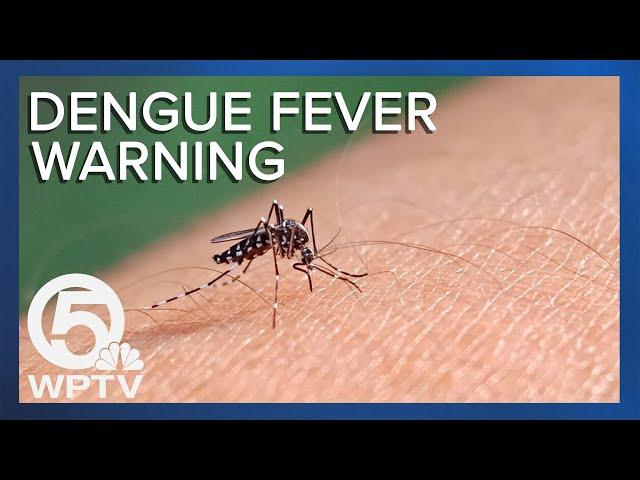 CDC issues dengue fever alert in U.S. Cases found in Palm Beach County