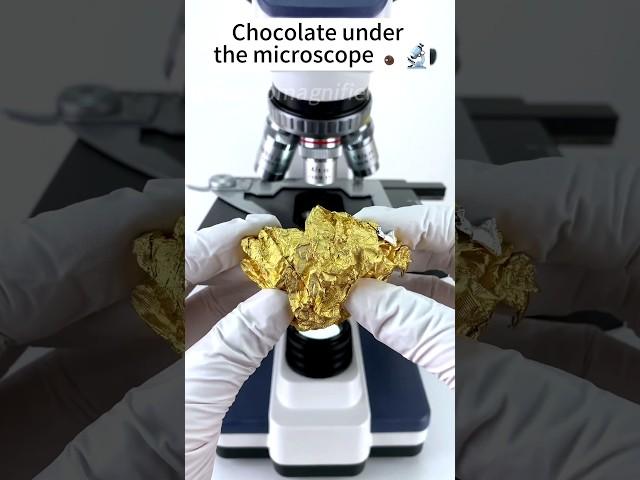 See how amazing chocolate looks through a microscope #microscope #facts #ytshorts