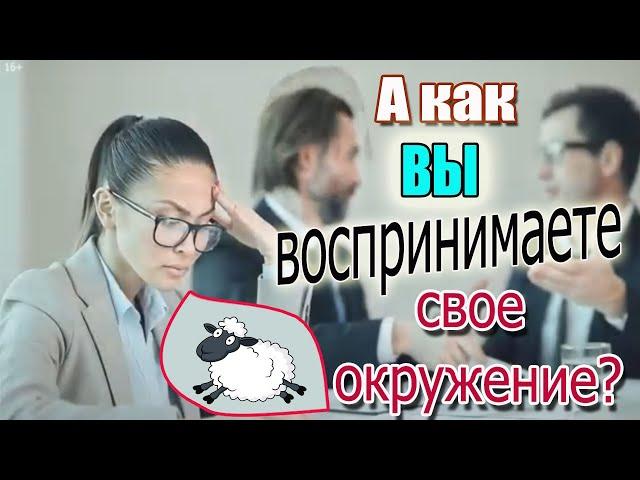 Влияние окружения. Как ближайшее окружение влияет на Ваше благополучие и Ваши финансы?