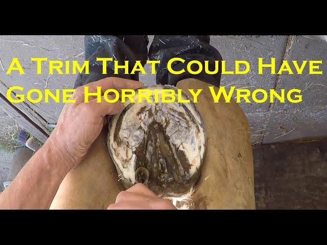 A trim that could have gone horribly wrong!