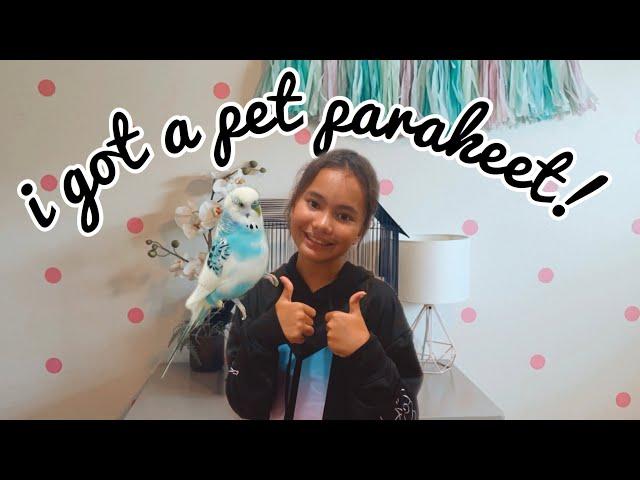 I got a parakeet for my Birthday! | Birthday Vlog | I got a pet bird