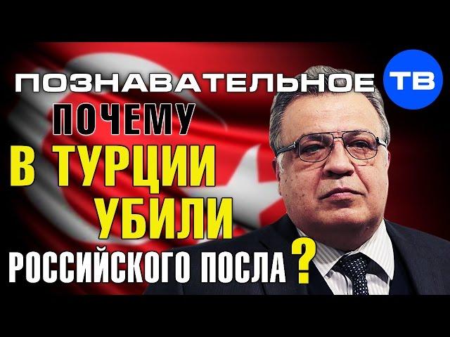 Почему в Турции убили российского посла? (Познавательное ТВ, Артём Войтенков)