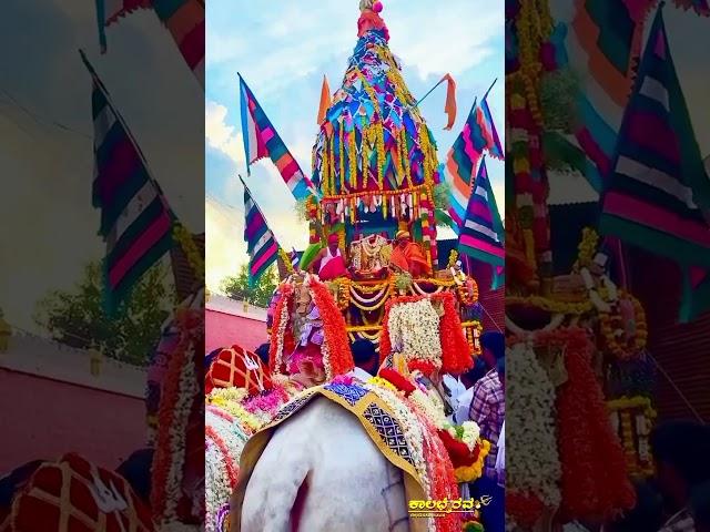 ಕಾರಕಹಳ್ಳಿ ರಥೋತ್ಸವ 12/03/2025 #chikkarasinakere #sri #kalabhairaveshwara #basavappa #maddur