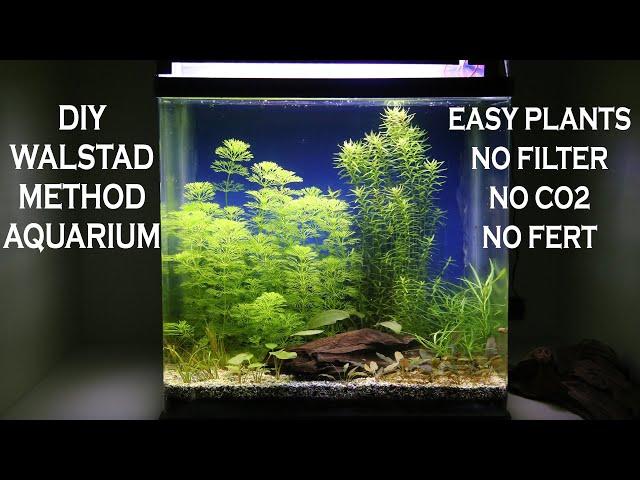 DIY Walstad Method Aquarium Setup - Easy Plants