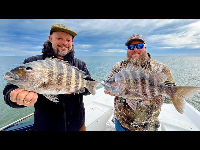 Tug Trash Knows How to Party | Toadfish Shellabration