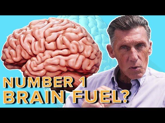 Number 1 Brain Fuel to Improve Memory