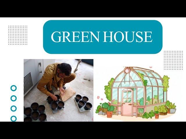 Green House Visit | AARI | WRI | MAHA SARFRAZ