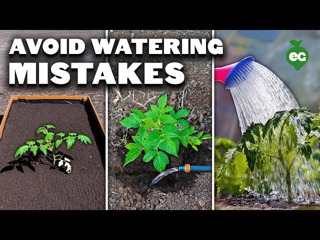 5 Watering Mistakes You're Probably Making