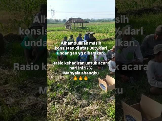 SL Sekolah Lapang Budidaya Tanaman Jagung Kelompok Tani Sumber Usaha