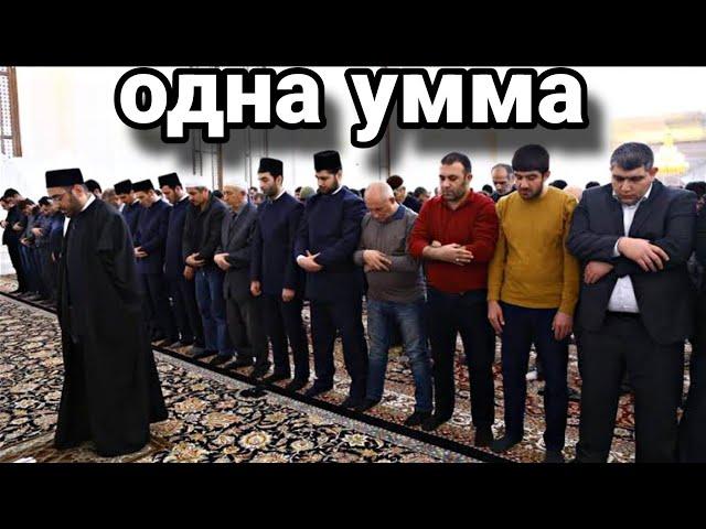 Ахмад Самир шиит и призвывает к Шиизму?? // ШИИТЫ ТАКФИРЯТ СУННИТОВ?