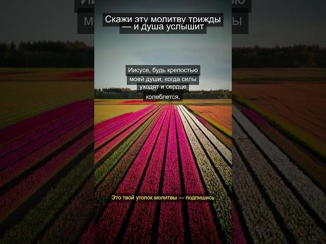 Молитва на каждый день #православие #молитва #молитвы