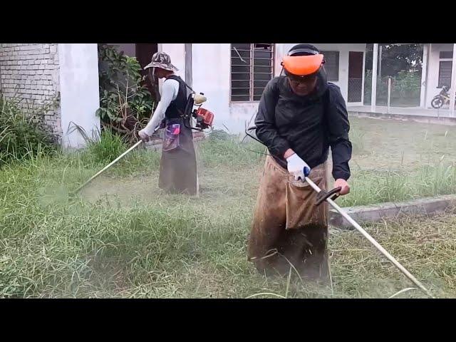 SEGMEN MESIN RUMPUT  ||  STIHL FR3001 vs TOKAI TL43