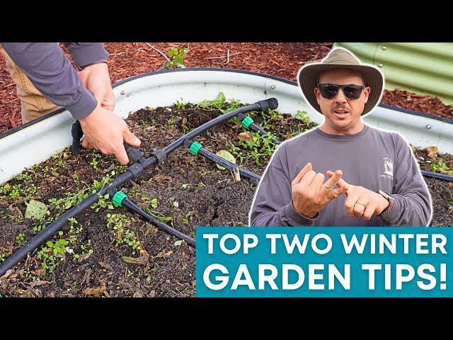 YOU MUST DO THIS in Your Garden This Winter!