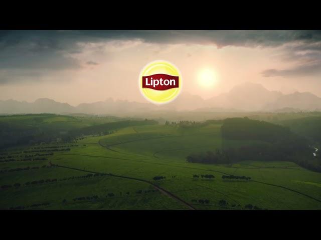 Lipton Yellow Label Lithuania!!!