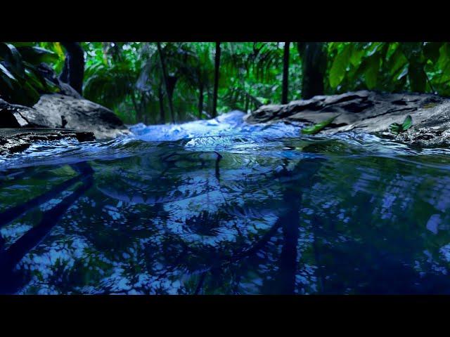 Rushing River Sounds to Sleep | 10 Hour Water Sounds for Sleeping