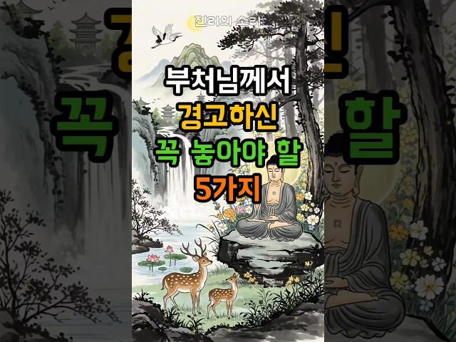 살면서 꼭 놓아야 할 5가지 #부처님말씀 #불교 #지혜