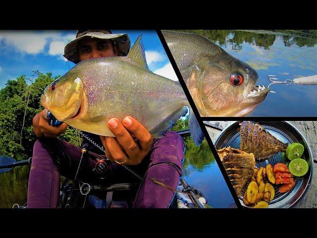 Deadly Piranha Catch Clean & Cook - Fishing in a Piranha invested lake