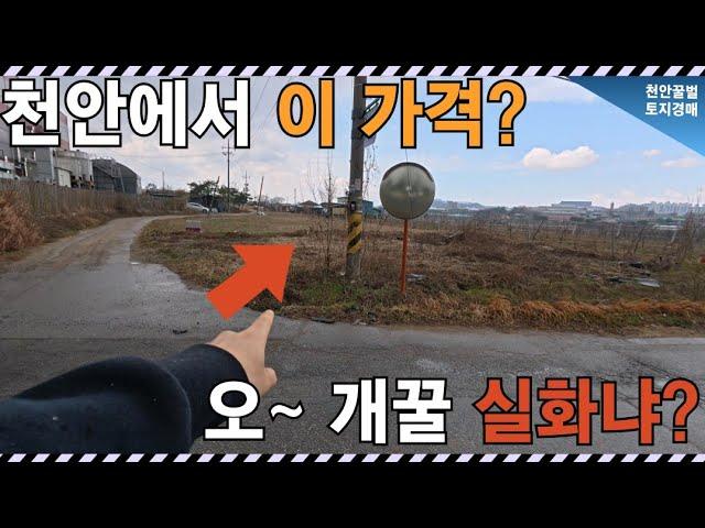 헐… 천안에 이런 땅이 있다고? 518평이 1억 원대! 
