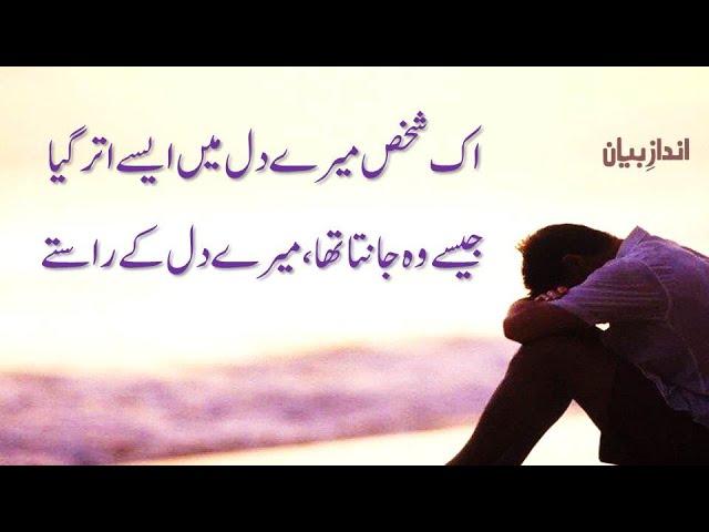 Ek Shaks Mere Dil Mein Aise Utar Gaya | Sad Urdu Poetry | 2 line poetry | Heart Touching Poetry Urdu