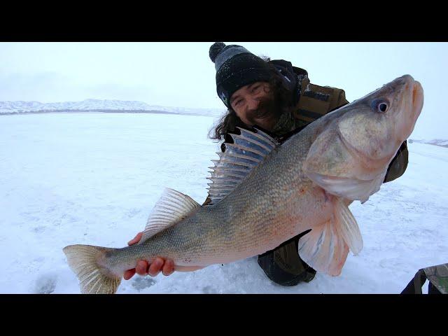 Diefenbaker Ice Walleye 30” BEAST