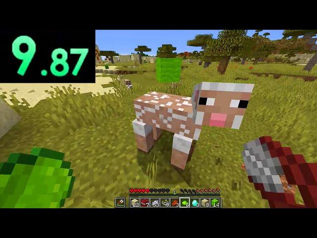 Minecraft’s History Of Weird Speedruns…