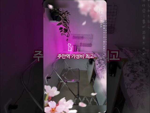 1인 주거공간 봄날하우스 ️01035397214       주안역 고시원 봄날하우스 https://naver.me/5JP8cU0L