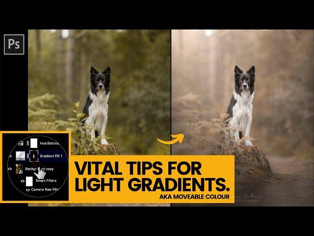 How to Apply Light Gradients in Photoshop - Tips for PERFECT moveable colour application