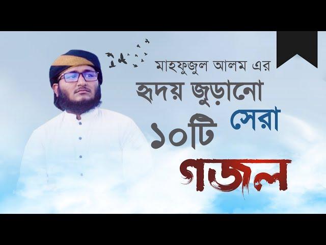 মাহফুজুল আলম এর হৃদয় জুড়ানো সেরা ১০টি গজল ||  Mahfujul Alam Top 10 Ghazal || Mahfuzul Alom