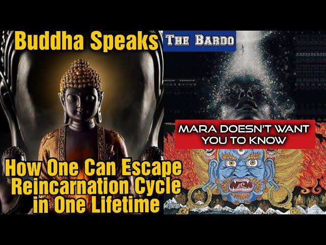 Buddha~3 Things You Can Do to Escape Reincarnation Cycle in This Lifetime