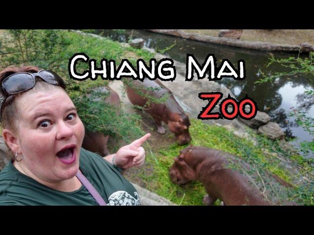 Chiang Mai Zoo Thailand | know before you go