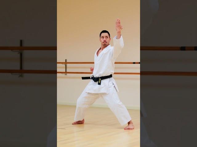 KATA ENPI | Shotokan Karate