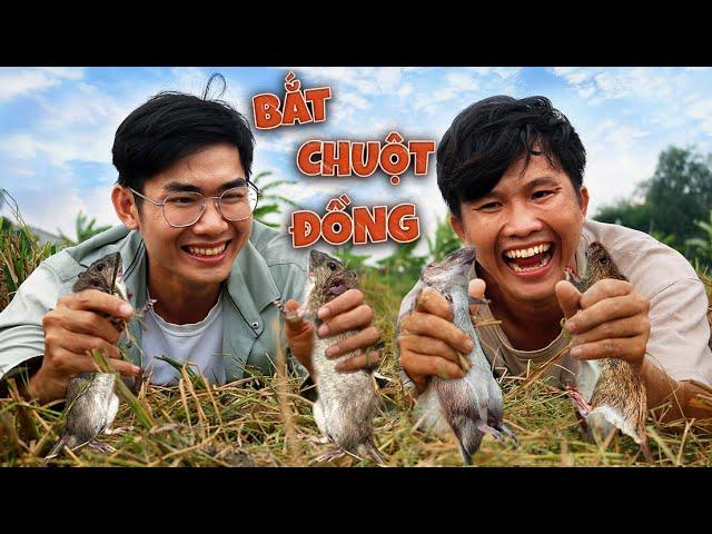 Catching Rats in the Field VietNam