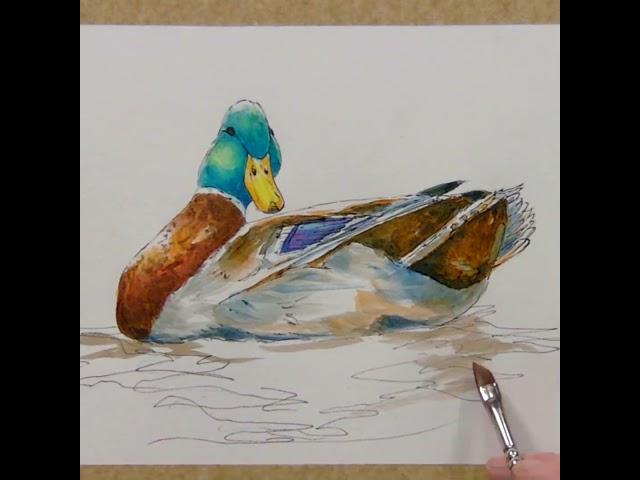 This May, get inspired to paint and create with Anita’s NEW Colours of May blog! 