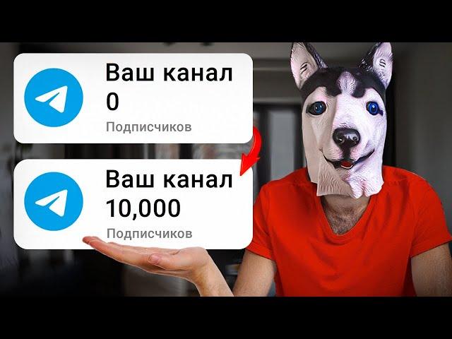 Как набрать 10,000 Подписчиков в ТЕЛЕГРАМ с НУЛЯ за 24 ЧАСА?[+150$ДЕНЬ - Пошаговый план]