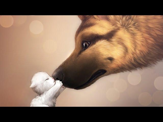 !TheSkybafuro! 2. světová válka [2. prezentace]