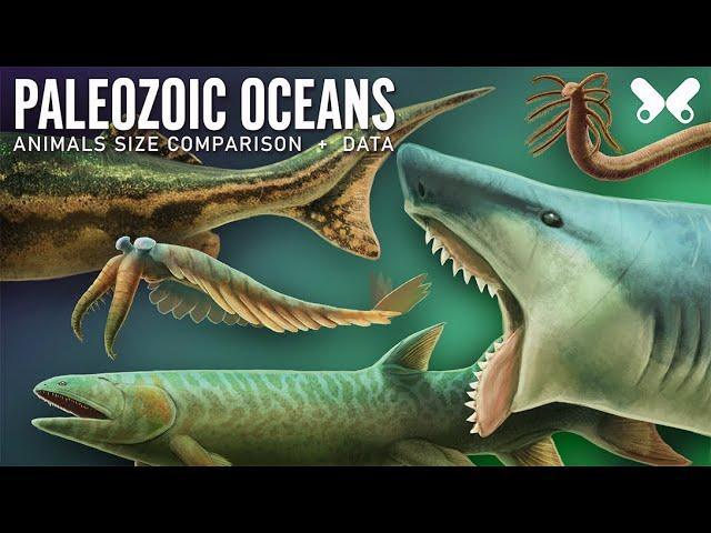 Aquatic Animals of the Paleozoic Era. Size comparison and data. Paleoart