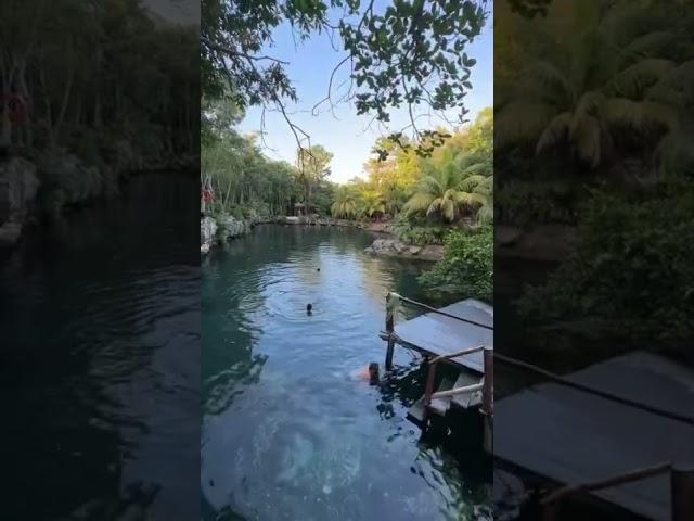 Cenotes Casa Tortuga ️