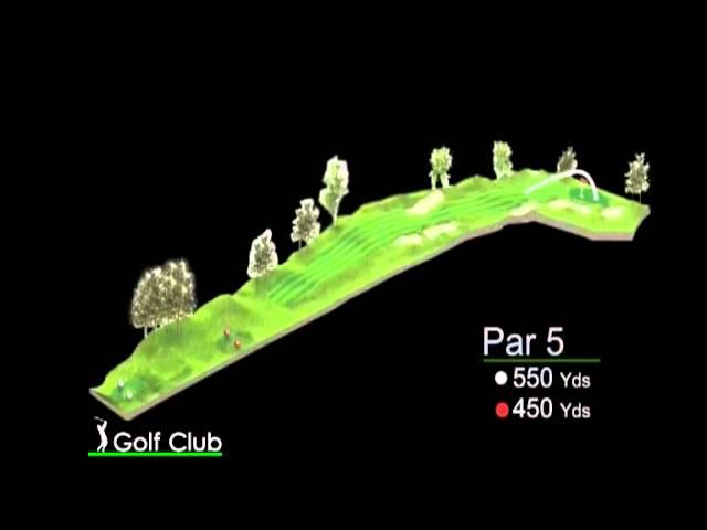 4- Par-Bogey-Birdie-Aguila