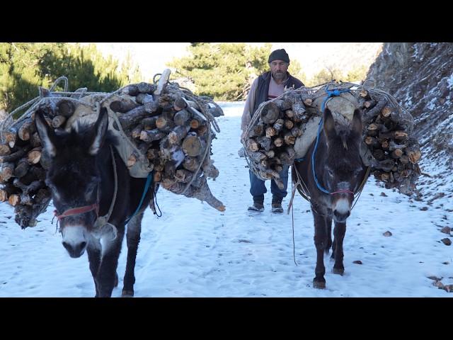 Waiting for Winter in Rural Life - Documentary