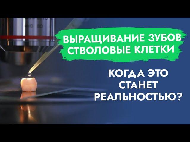 Стволовые клетки. Выращивание зубов. Когда это станет реальностью?