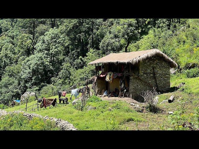 Most Peaceful And Relaxing Natural Mountain Village Life || Living With Beautiful Nature || IamSuman