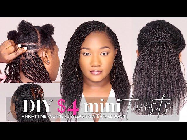  NEVER Waste Money Again! DIY $4 Mini twists with X-Pression Hair