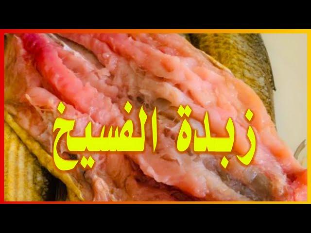 سر فسيخ الشتا المزبد السايح عمل الفسيخ ولا اجدع فسخانى وازاى تحفظيه سر الفسيخ من اشهر محلات في رشيد